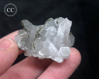 Quartz - Bulgaria #18