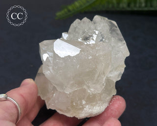 Clear Quartz Cluster #6