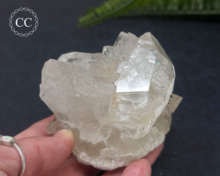 Clear Quartz Cluster #6