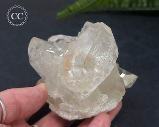 Clear Quartz Cluster #6