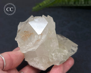 Clear Quartz Cluster #6
