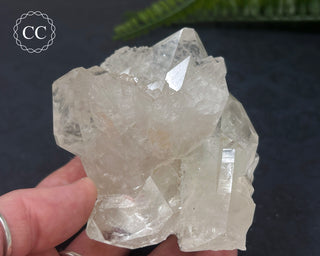 Clear Quartz Cluster #6