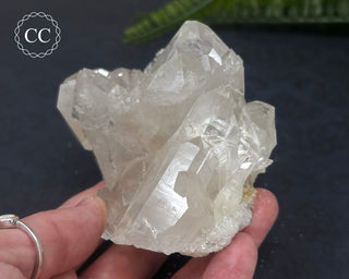 Clear Quartz Cluster #6