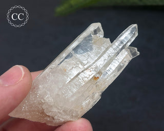 Clear Quartz Cluster #2