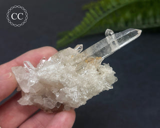 Clear Quartz Cluster #1