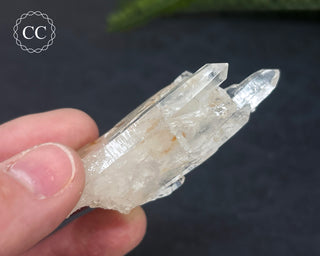 Clear Quartz Cluster #2