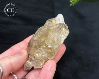 Pale Smoky Quartz #5