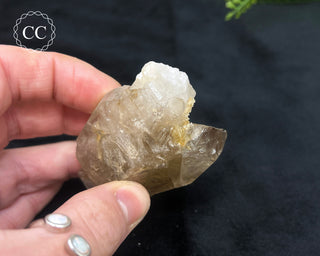 Pale Smoky Quartz #5