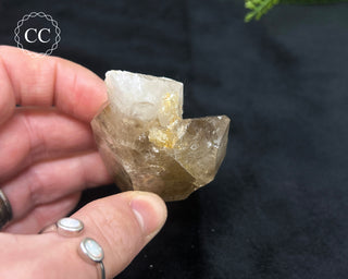 Pale Smoky Quartz #5