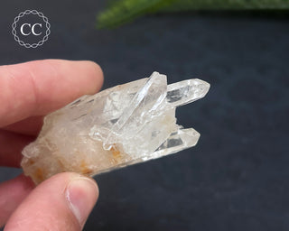 Clear Quartz Cluster #2