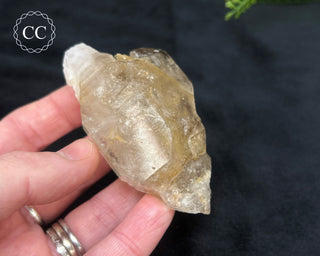 Pale Smoky Quartz #5