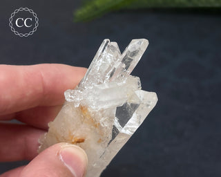 Clear Quartz Cluster #2