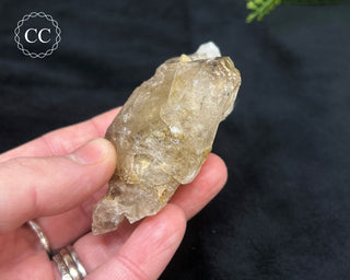 Pale Smoky Quartz #5