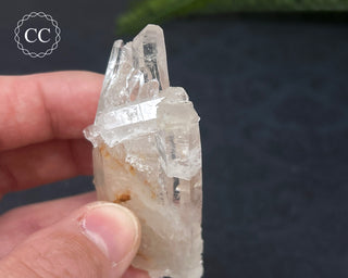Clear Quartz Cluster #2