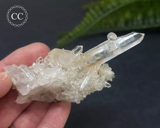 Clear Quartz Cluster #1