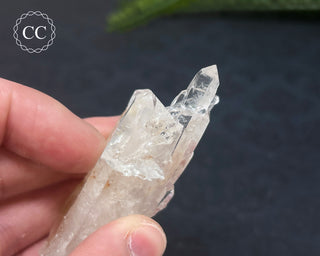 Clear Quartz Cluster #2