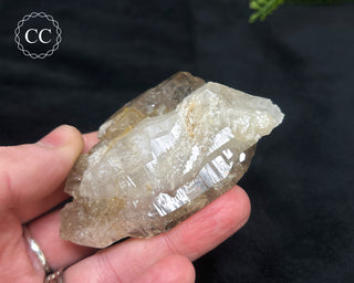 Pale Smoky Quartz #5