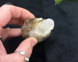 Pale Smoky Quartz #5