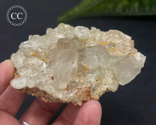 Clear Quartz Cluster #3