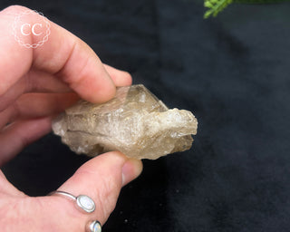 Pale Smoky Quartz #5