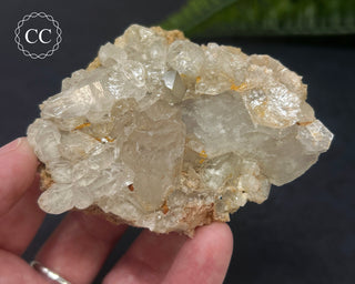 Clear Quartz Cluster #3