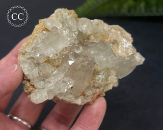 Clear Quartz Cluster #3