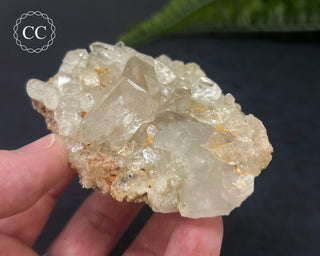 Clear Quartz Cluster #3
