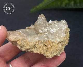 Clear Quartz Cluster #3