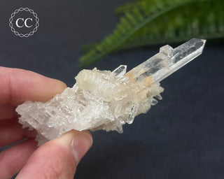 Clear Quartz Cluster #1