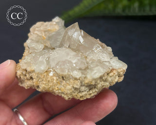 Clear Quartz Cluster #3