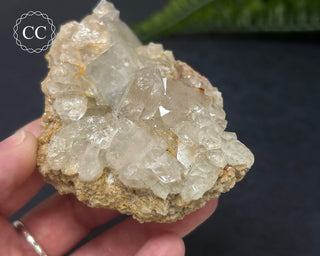Clear Quartz Cluster #3