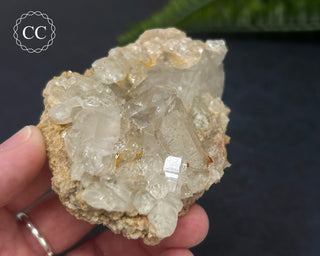 Clear Quartz Cluster #3