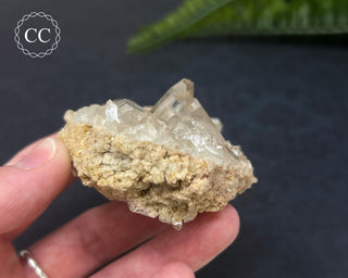 Clear Quartz Cluster #3