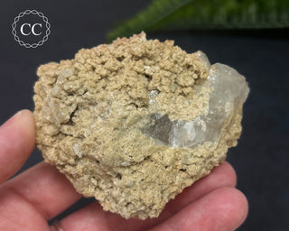 Clear Quartz Cluster #3
