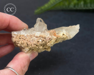 Clear Quartz Cluster #3
