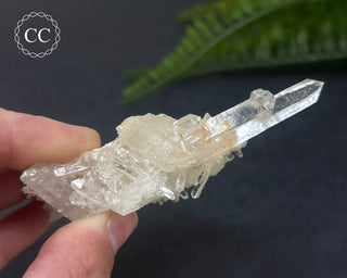 Clear Quartz Cluster #1