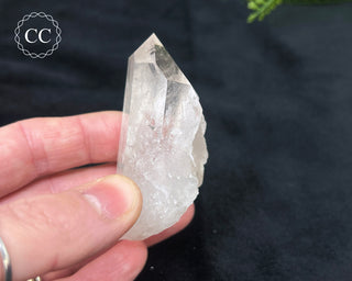 Quartz Cluster #7