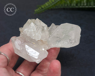Clear Quartz Cluster #4