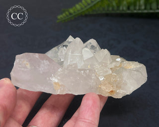 Clear Quartz Cluster #4