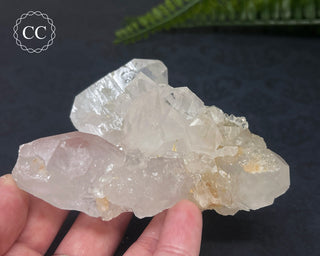 Clear Quartz Cluster #4