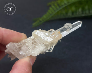 Clear Quartz Cluster #1