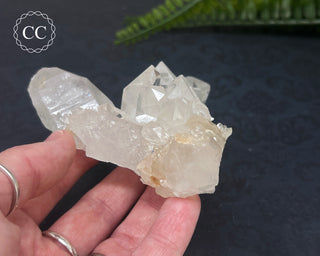 Clear Quartz Cluster #4