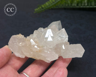 Clear Quartz Cluster #4