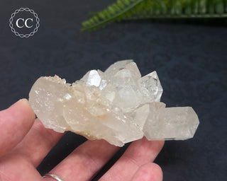 Clear Quartz Cluster #4