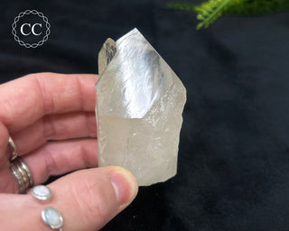 Pale Smoky Quartz #8