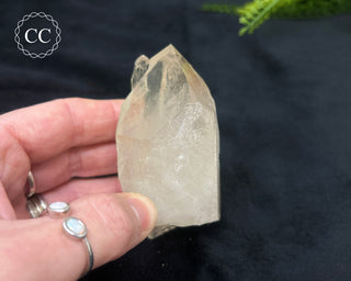 Pale Smoky Quartz #8