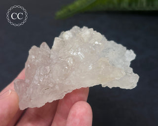 Clear Quartz Cluster #5