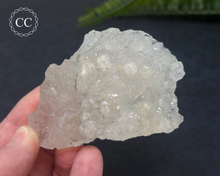 Clear Quartz Cluster #5