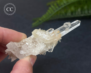 Clear Quartz Cluster #1