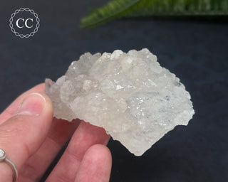 Clear Quartz Cluster #5